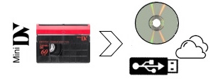 mini dv dvd